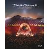Columbia Live At Pompeii (Blu-ray) David Gilmour David Gilmour