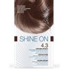 I.C.I.M. (BIONIKE) INTERNATION Shine On Tintura Capelli Colore Castano Dorato 4.3