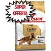 ROYAL CANIN CANE COCKER ADULT 3 KG