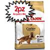 ROYAL CANIN CANE COCKER ADULT 3 KG [PREZZO A CONFEZIONE - acquisto min. 2 confezioni]