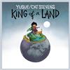 Yusuf/Cat Stevens King of a Land (Vinyl LP)