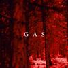 GAS Zauberberg (Vinyl LP) 12" Album Box Set