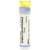 CEMON SRL SYMPHYTUM OFF 30CH GR