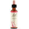 SCHWABE PHARMA ITALIA LARCH BACH ORIG 20ML - SCHWABE PHARMA ITALIA - 942859303