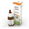 GUNA SpA Fiori di Bach Flowers 13 Gorse 10ml - Rimedio Omeopatico per Accoglimento e Speranza