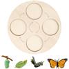Generico Kit Ciclo Farfalla - Vassoio Puzzle Ciclo per Bambini | Gioco Educativo Interattivo per Esplorare la Metamorfosi di Gallina e Farfalla per Bambini Piccoli