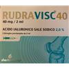 Shedir Siringa Intra-articolare Rudravisc 40 Hc Acido Ialuronico Sale Sodico 40 Mg 2 Ml 3 Pezzi Shedir