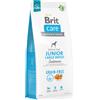 Brit Care Grain Free Junior Taglia Grande Salmone - Crocchette per Cuccioli di Taglia Grande 12 Kg -