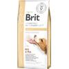 Brit Veterinary Diet Grain Free Dog Hepatic - Crocchette per Cani Adulti 2 Kg -