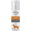 Inodorina Rituals Lozione Orecchie 100 ml -
