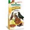 Manitoba Paté Insect Pastoncino per Uccelli Insettivori e Silvani 400 g -