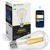 Aigostar Lampadine Smart WiFi E27 Alexa Lampadine Vintage ST64 6W Edison Lampadina WiFi Dimmerabile 2700K-6500K, Controllo Remoto tramite APP, Compatibile Con Alexa, Google Home, Trasparente 1 pezzi