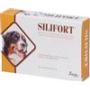 DDFARMA Srl Silifort, 30 compresse