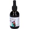 NUTRIGEA Srl Nutrigea Klamin Gocce 50 ml - Integratore con Microalghe Klamath per l'Integrazione di Nutrienti