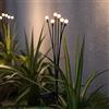 Solar Centre SolarCentre® Firefly - Luci da giardino a energia solare per esterni