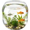 Genérico Beta - Mini acquario decorativo infrangibile, 15,5 x 14,9 cm, trasparente, per casa, scuola, aula, camera da letto, ristorante, bar, sala
