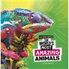 Cari Meister The World's Most Amazing Animals (Copertina rigida) Extreme World