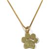Damiano Argenti Collana con Medaglietta Zampa di Cane in Argento Sterling 925 Personalizzabile con incisione del nome del tuo amico a 4 zampe (Argento 925 Placcato Oro)