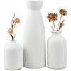 Mapille Set di 3 Vasi in Ceramica Bianca, Minimalista Vasi Opachi Deco Per l'erba Della Pampa, Vaso Deco per la Casa Moderno, Vaso Decorativo da Interno Moderno Beige per Nordico (Bianco)