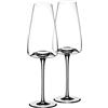 Zieher Set di 2 bicchieri da vino Rich Vision