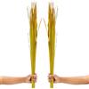 LEEWADEE Erbe Secche per Vasi da Terra 115 cm Composizione Set 2