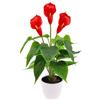 Folmywy Piante da fiore artificiali Calla Lily 40,6 cm Falso Giglio della Pace Pianta in vaso Fiore di seta rossa Finto Bonsai Indoor Realistico Verde Casa Cucina Tavolo Centrotavola Decorazione Bagno