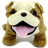 VACHICHI Peluche da 30 cm Bulldog Inglese, Cane di Peluche, Adorabile Cucciolo Giocattolo per Tutte Le Persone