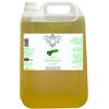 Generico THE LUX OLIO DA MASSAGGIO (ALOE)