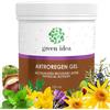 Green idea - Artroregen Gel | Articolazioni & Muscoli Extra Forte e Altamente Concentrato | Arnica, Consolida Maggiore e Ippocastano | Gel al Mentolo 250 ml
