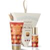 Bottega Verde XMAS cake Panettone 1 St