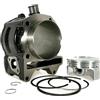 NGA PIAGGIO 1A013567 GRUPPO CILINDRO - PISTONE - SPINOTTO - SEGMENTI - ANELLI BEVERLY 350/MP3 350/X10 350