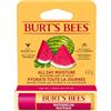 Burt's Bees Lip Balm Watermelon 4,25 g