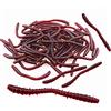 Senven artificiale earthworm, Biomimetic Morbido Silicone Earthworm Esche Worm Esche da Pesca Simulazione Red Worms plastica Verde Ambiente Strong Tentazione Esca Finta Red Worm - L tipo-100Pcs