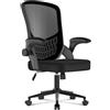 naspaluro Sedia da Ufficio: Sedia da Ufficio Ergonomica Con Braccioli Reversibili, Supporto Lombare, Seduta in Rete Traspirante Regolabile in Altezza, Adatta per L'ufficio Domestico,Nera