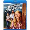 Kl Studio Classics Where the Lilies Bloom (Blu-ray) Julie Gholson Jan Smithers Harry Dean Stanton
