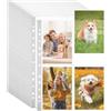 Kinesgsg 20 Pack Tasche A4 Foto, Trasparenti Foto Buste per Fotos, a Carica Dall'Alto, Buste Trasparenti per Cartoline, Guaine Trasparento per Cartoline, Design a Doppio Lato a 4 Scomparti