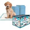 Simple Solution Tappetini assorbenti Premium per Cani e Cuccioli Simple Solution -Confezione da 100 Pezzi