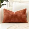 Artscope Federe Cuscini in Velluto a Coste per Divano 40x60cm Copricuscini di Bolla Geometrico Decorativa per Salotto Moderno Cuscino per Camera da Letto, Arancione Scuro