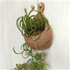 SPORTARC Cesto da appendere, da appendere alla parete, per frutta e verdura, in tessuto da cucina, in iuta ecologica, in corda di cotone, D 21 x 21 x 23 cm