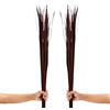 LEEWADEE Erbe Secche per Vasi da Terra 115 cm Composizione Set 2