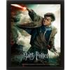 Pyramid International - Cornice Harry Potter - Expelliarmus - Effetto 3D - 25 x 20 cm - Licenza ufficiale