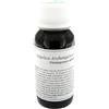 LABOR VILLA STODDARD Srl angelica archange compositum 06n