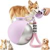 BSOON Borraccia portatile per cani in acciaio inox, 285 ml, con tappo a prova di perdite e ciotola pieghevole in silicone, per cani e gatti in viaggio, passeggiate e viaggi (rosa)