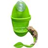Generic Gecko - Piatto d'acqua con ventosa, accessori per piccoli animali domestici, ciotola per l'alimentazione di rettili, per terrari, habitat, rana, camaleonte, geco, drago barbuto