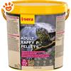 Sera Turtle Adult Raffy P Pellets - Confezione Da 2,3 Kg