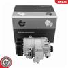 'ESEN SKV' ESEN SKV 84SKV020 Compressore per climatizzatore PAG 46 per VW Golf IV berlina (1J1), POLO (9N), Polo berlina (6R1, 6C1), Golf IV Variant (1J5) e Lupo