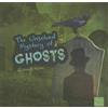 Michael Martin The Unsolved Mystery of Ghosts (Copertina rigida)