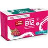 Paladin Pharma Sanavita B-Vitamins B12 - Integratore Per Stanchezza E Affaticamento 15 Flaconcini