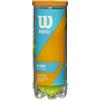 Wilson Palline da Tennis Profile All Court, Tubo con 3 Palline, per Tutte le Superfici, Giallo