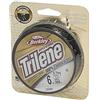 Berkley Trilene 100% fluorocarbonio Leader lenza da pesca